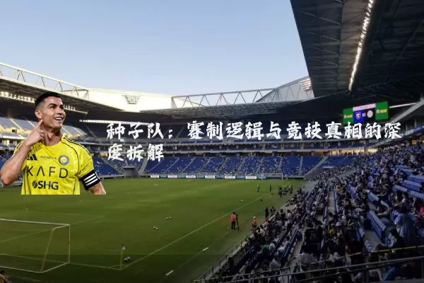 种子队:赛制逻辑与竞技真相的深度拆解